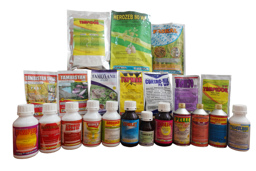 imgonline-com-ua-Resize-mquHbIQUiQpLi imgonline-com-ua-Resize-mquHbIQUiQpLi
